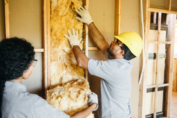 Best Energy-efficient Insulation  in Damascus, OR