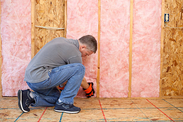 Best Insulation Replacement Services  in Damascus, OR